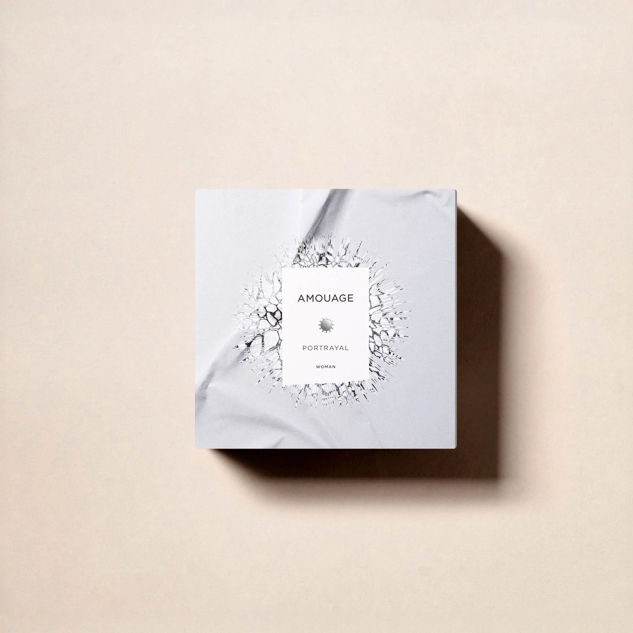 Amouage, Portrayal Edp 100Ml W
