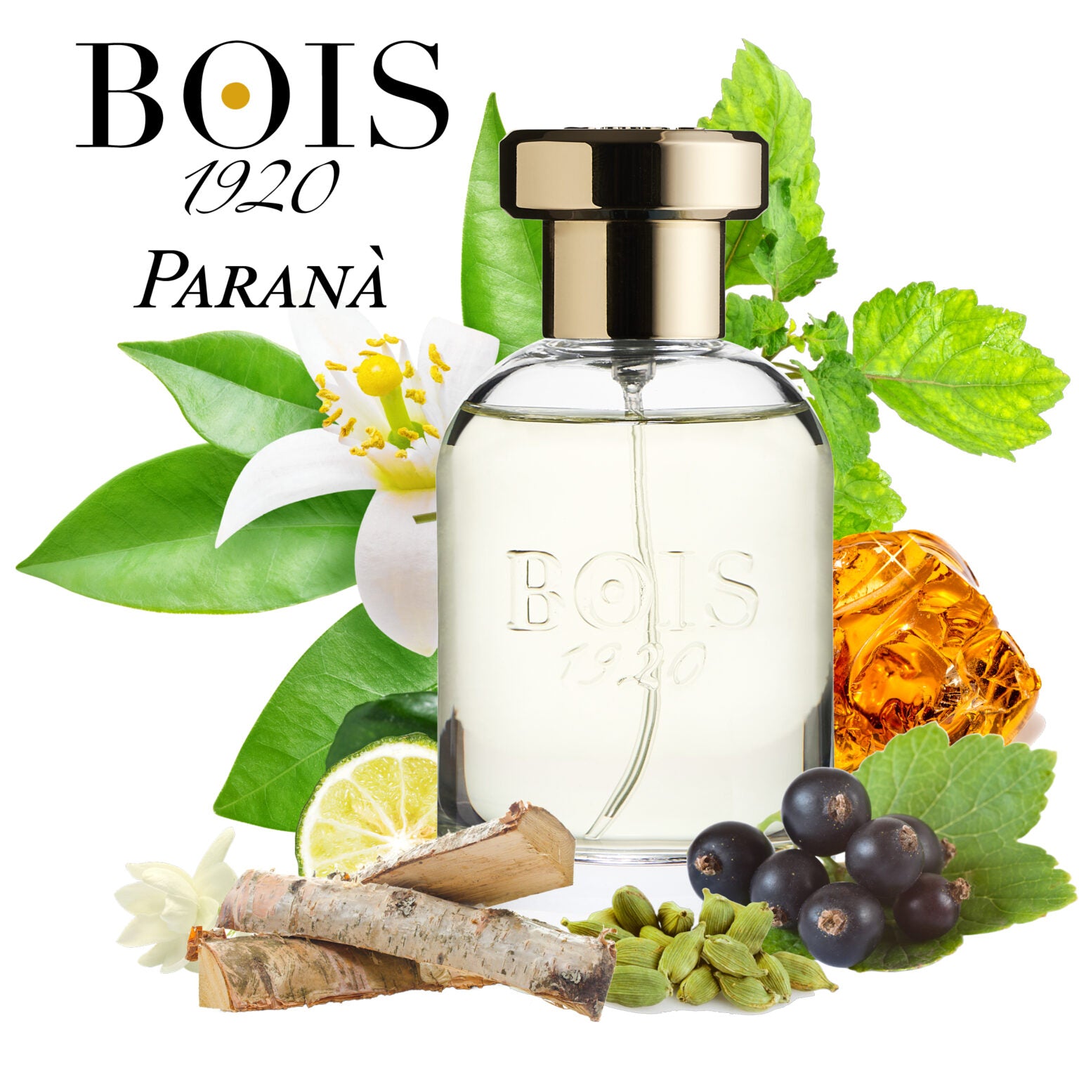 BOIS 1920, PARANA EDP 100ML U