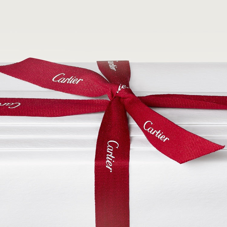 CARTIER, PASHA EDITION NOIRE EDT 100ML M GIFT SET