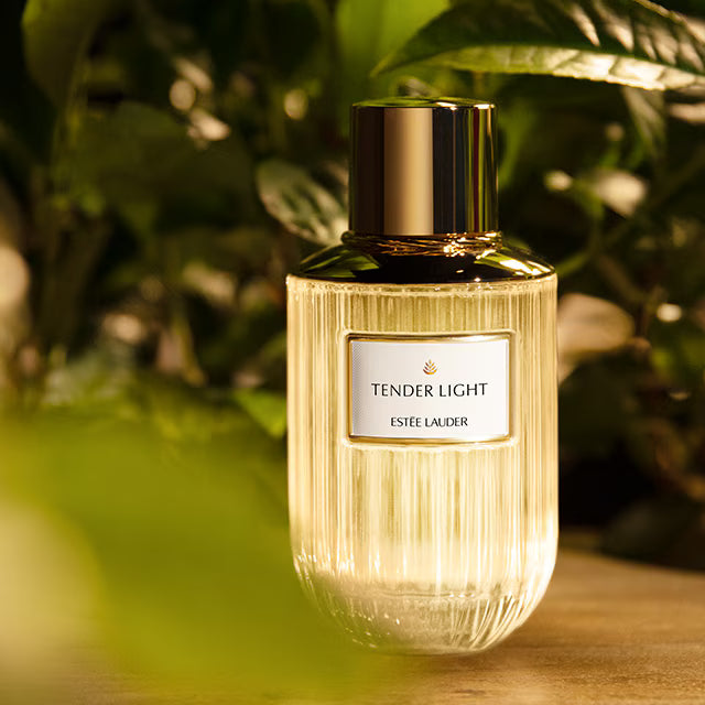 ESTEE LAUDER, TENDER LIGHT EDP 100ML W