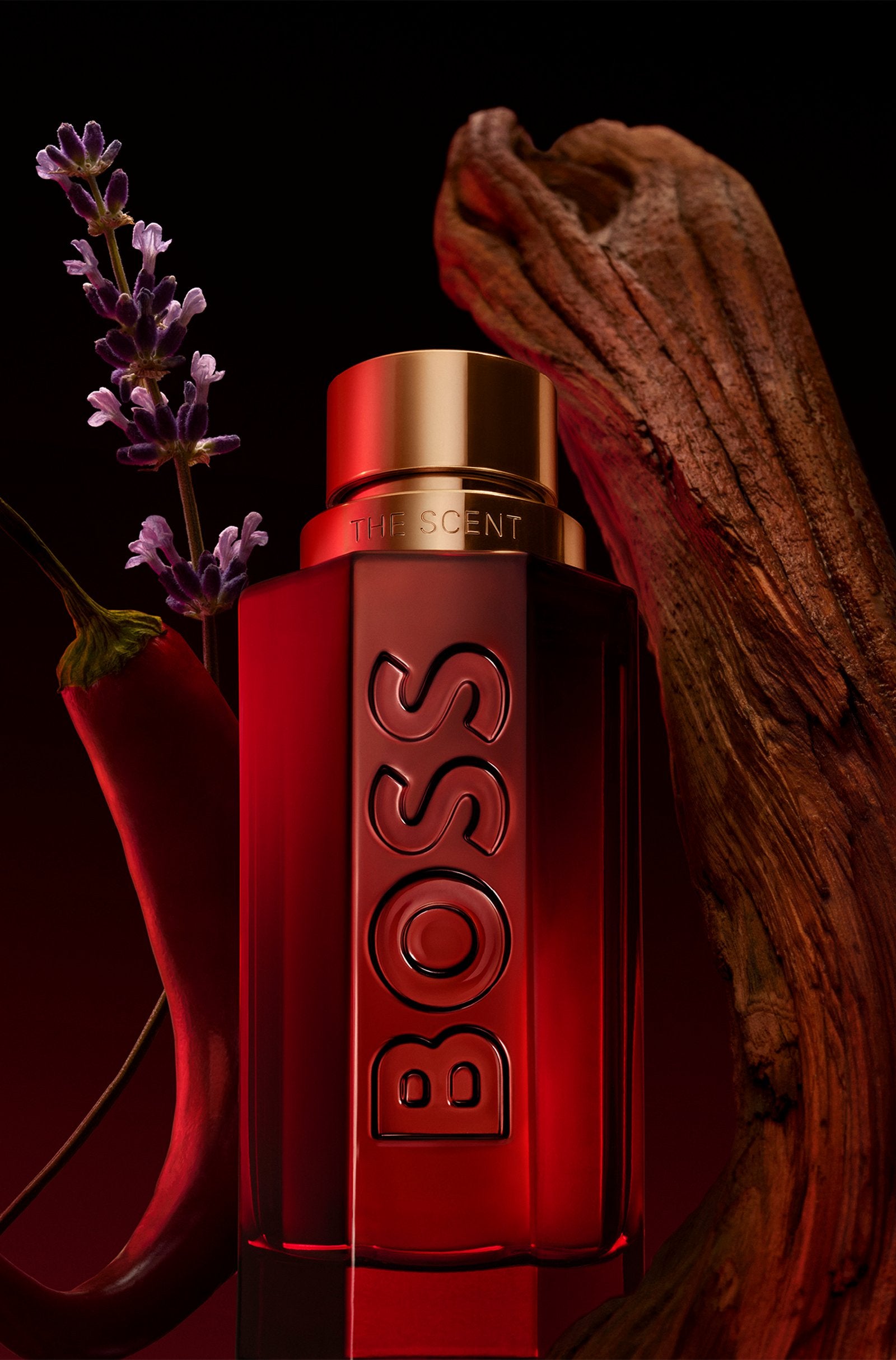 HUGO BOSS, THE SCENT ELIXIR PARFUM INTENSE 100ML M