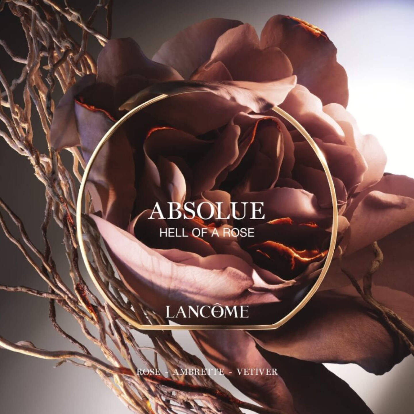 LANCOME, ABSOLUE HELL OF A ROSE EDP 100ML W