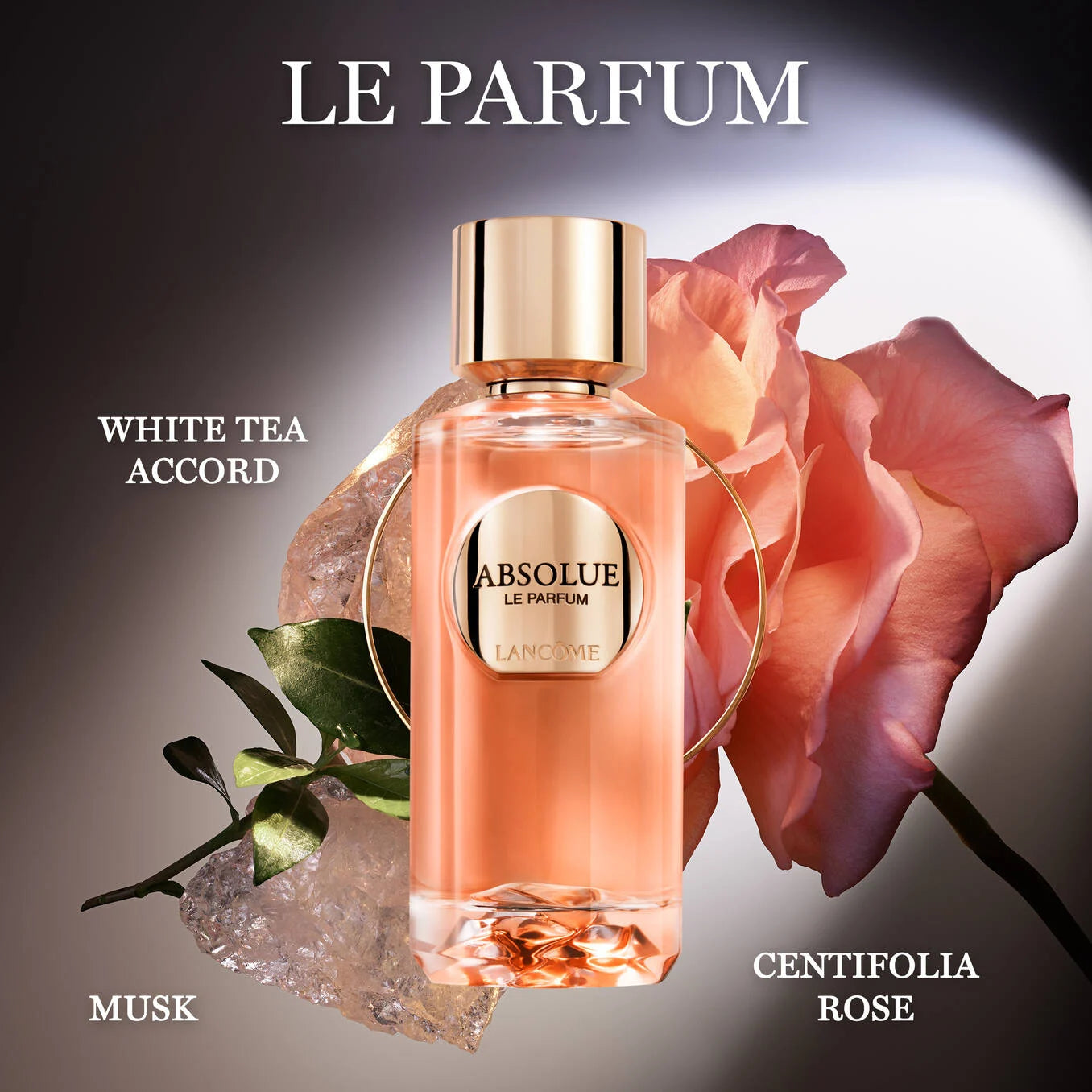 LANCOME, ABSOLUE LE PARFUM EDP 100ML W