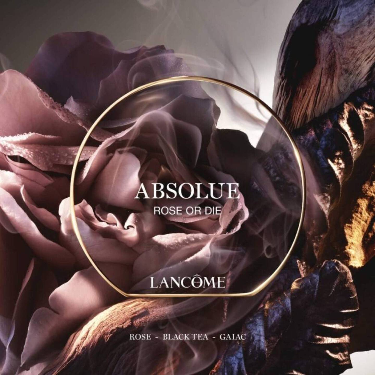 LANCOME, ABSOLUE ROSE OR DIE 100ML W