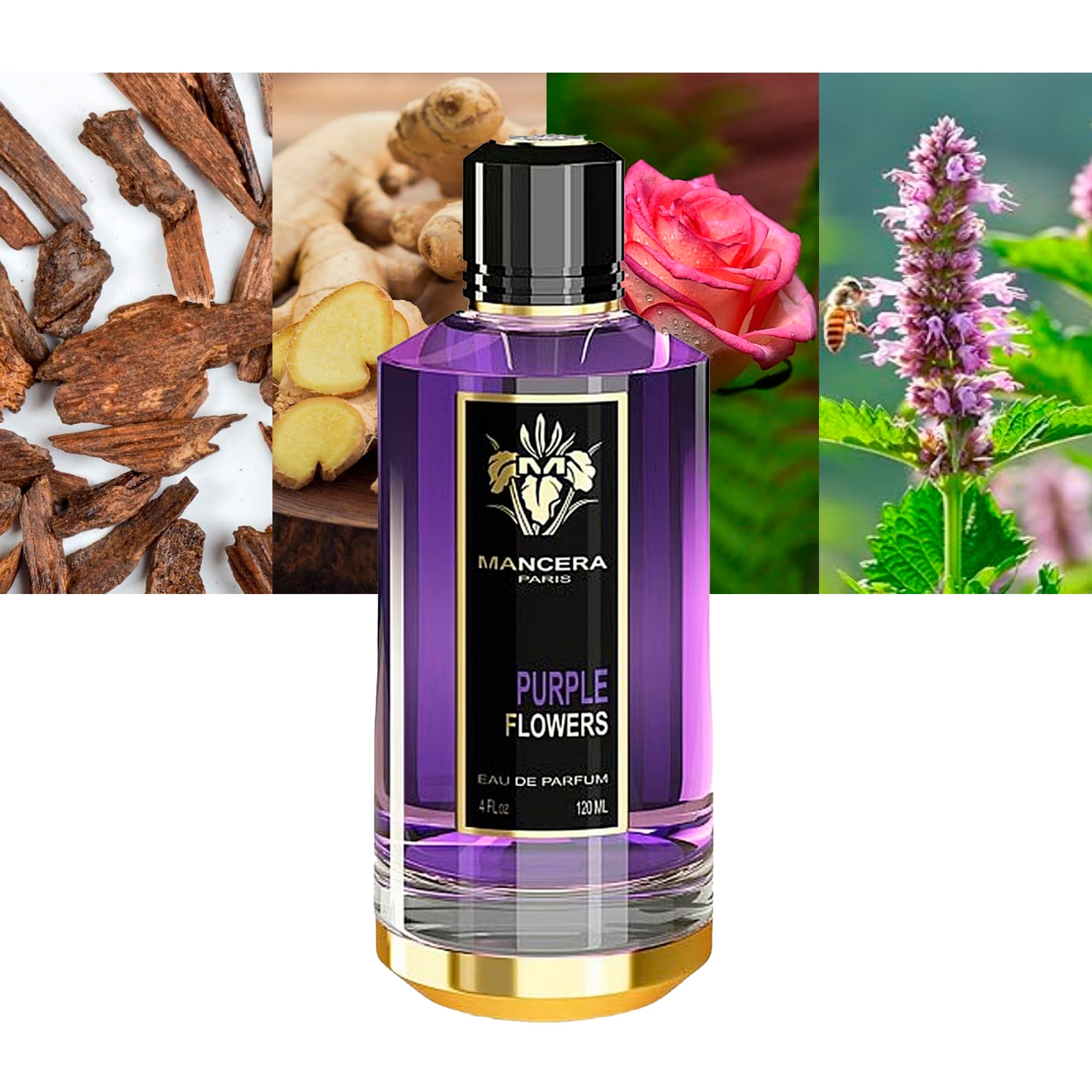 MANCERA, PURPLE FLOWERS EDP 120ML W