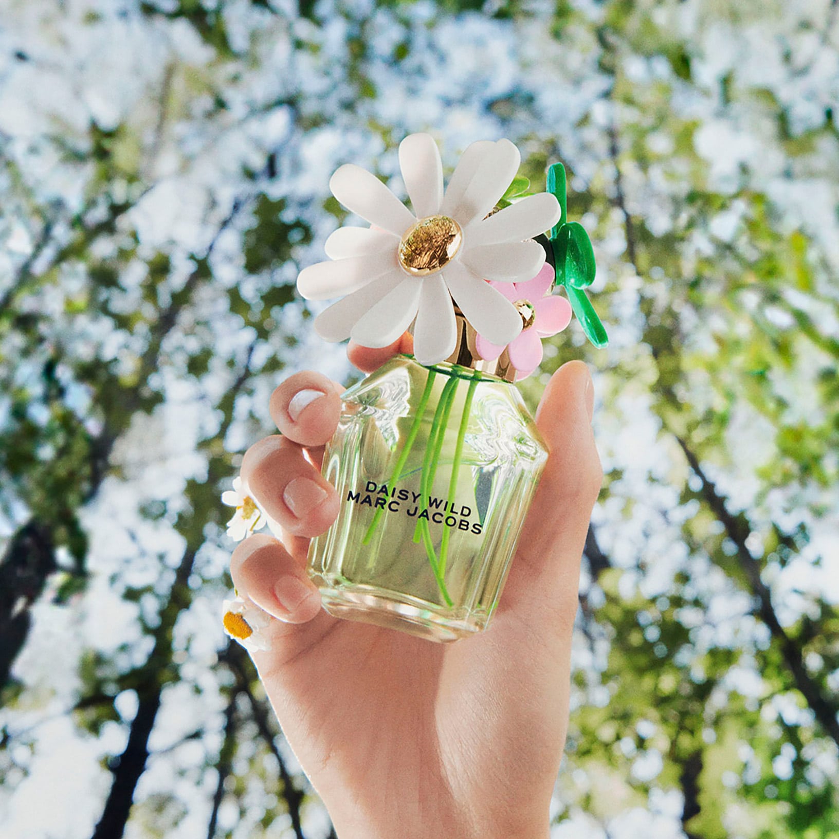 MARC JACOBS, DAISY WILD EDP 100ML W