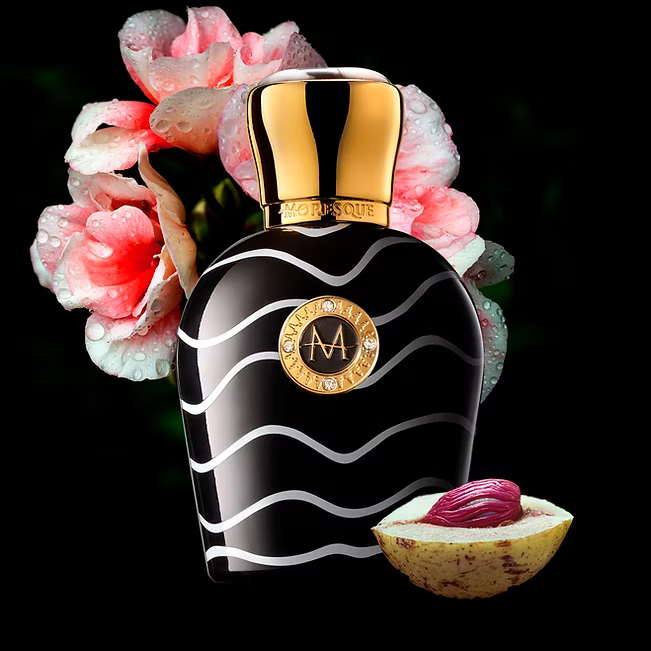 MORESQUE, ARISTOQRATI EDP 50ML U