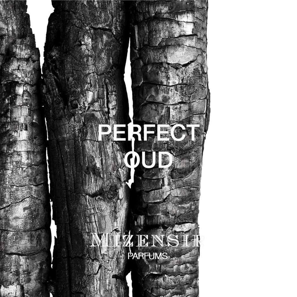Mizensir, Perfect Oud Edp 100Ml U