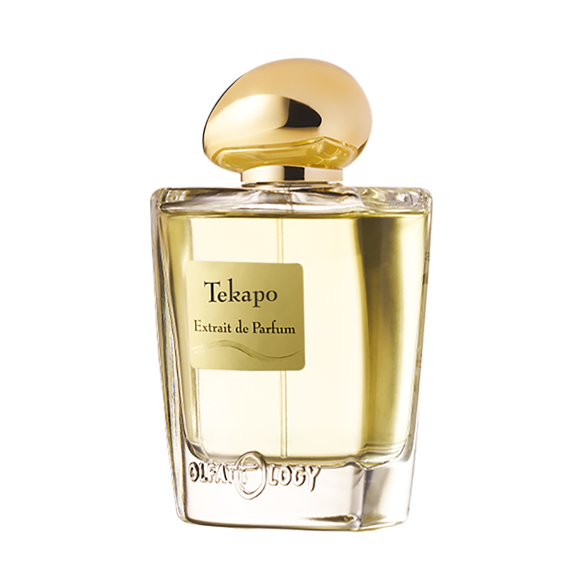 OLFATTOLOGY, TEPAKO EXTRAIT DE PARFUM EDP 100ML U