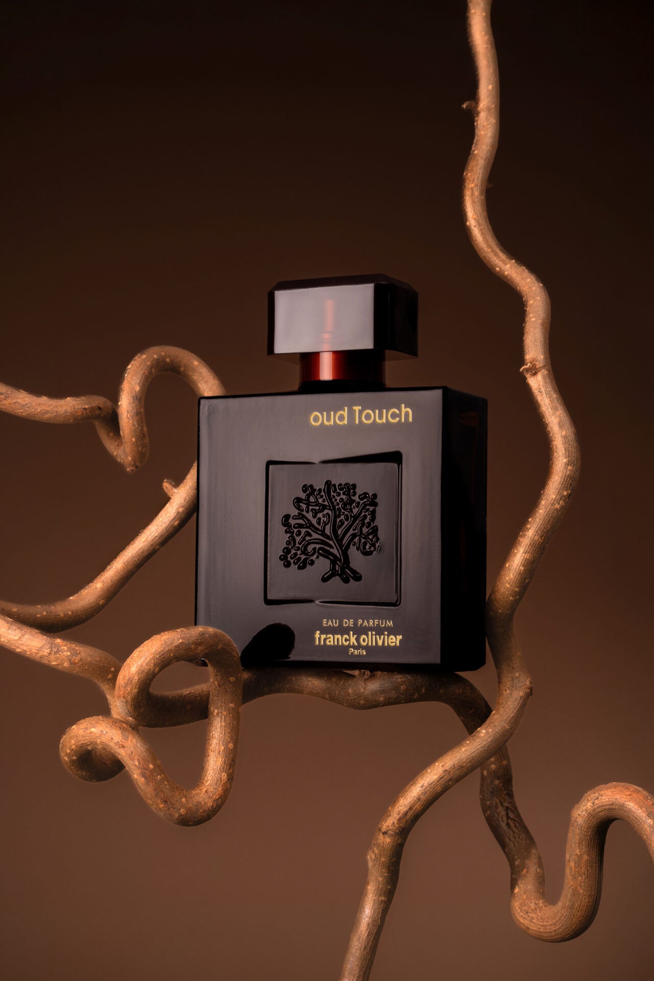 Franck Olivier, Oud Touch Edp 100Ml M