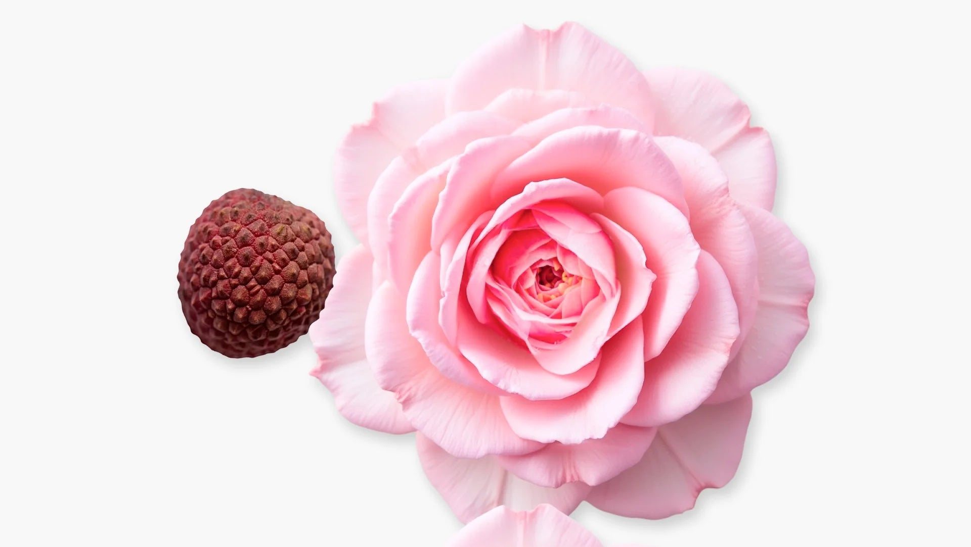 Parfums De Marly, Delina La Rose Edp 75Ml W