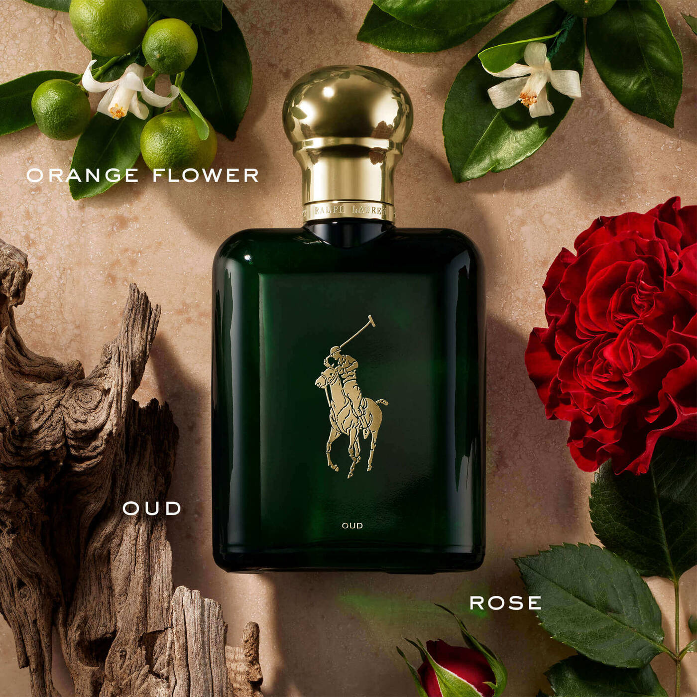 RALPH LAUREN, POLO OUD EDP 125ML M
