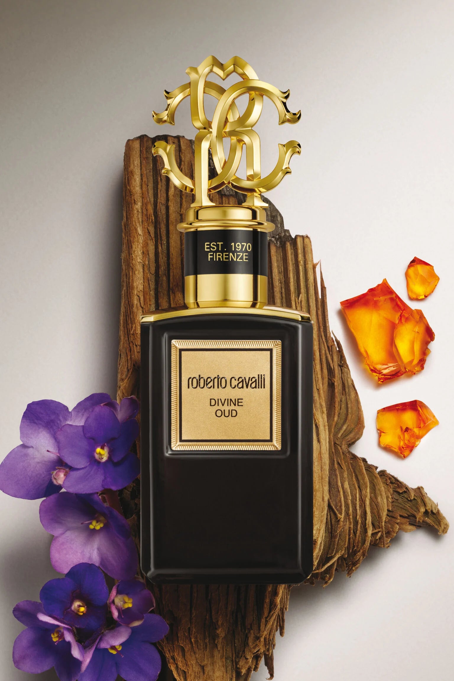 ROBERTO CAVALLI, DIVINE OUD INTENSE EDP 100ML U