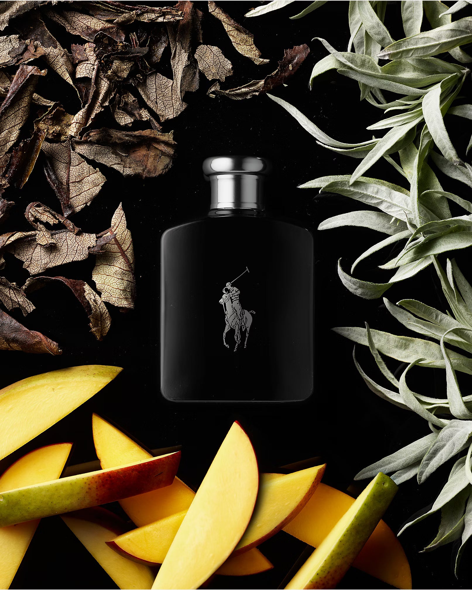 Ralph Lauren, Polo Black Edt 125Ml M