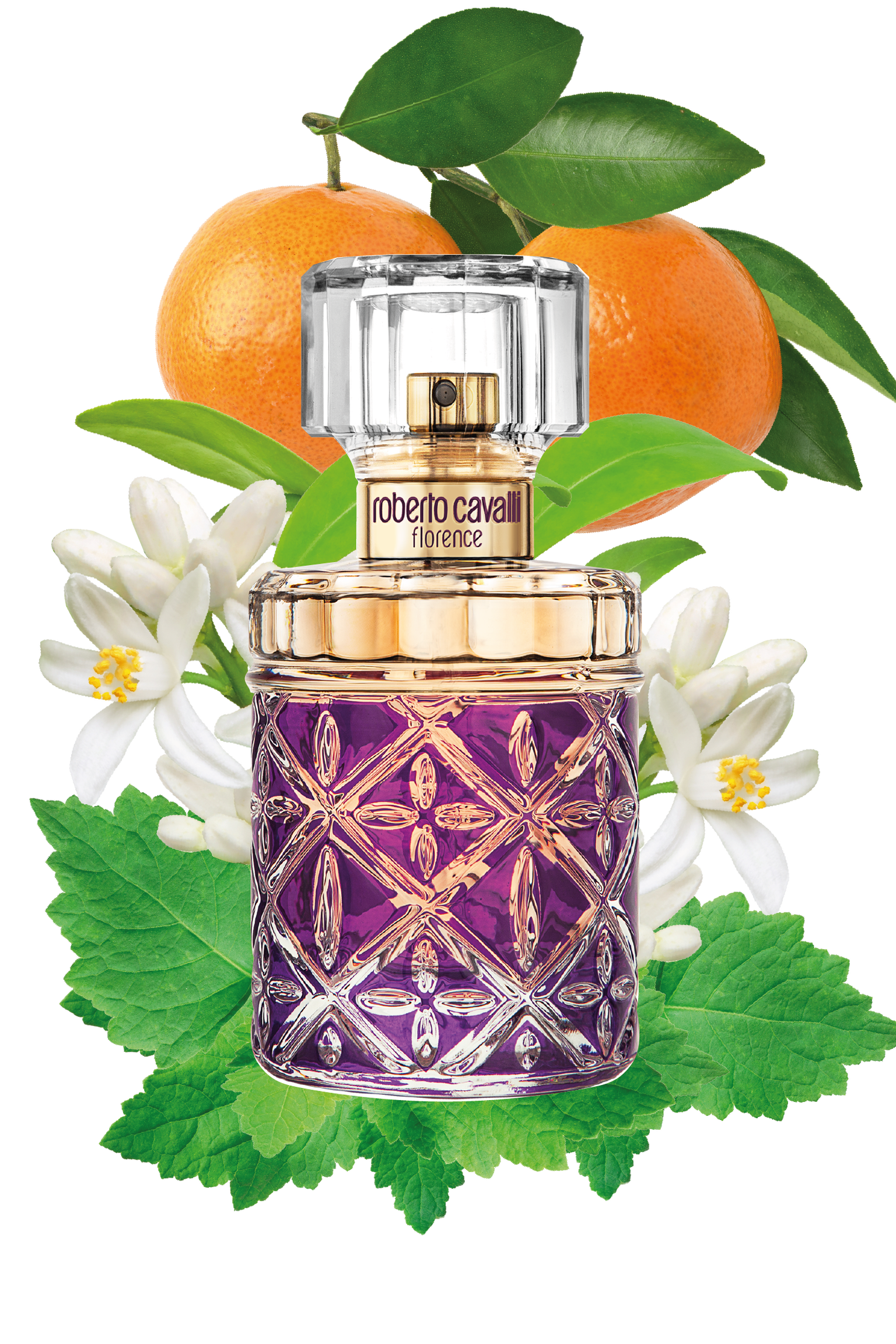 Roberto Cavalli, Florence Edp 75Ml W