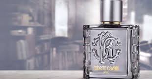 Roberto Cavalli, Uomo Silver Essence Edt 100Ml M