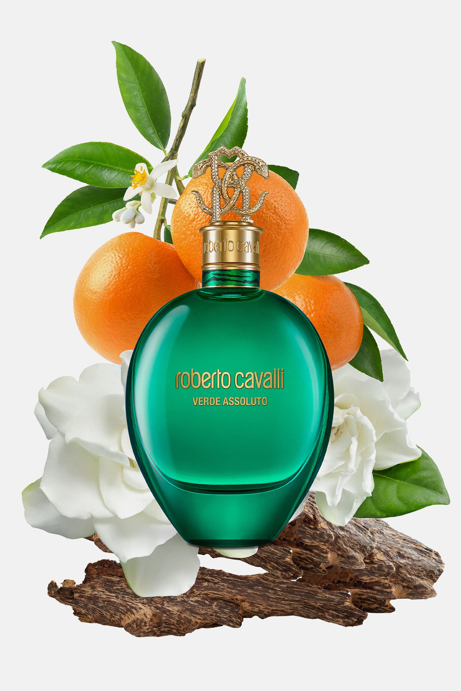 ROBERTO CAVALLI, VERDE ASSOLUTO EDP 75ML W