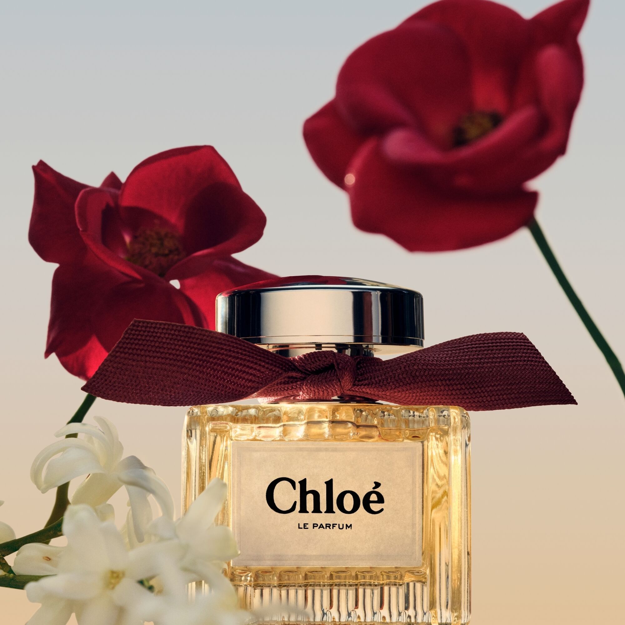 CHLOE, L'EAU DE PARFUM 100ML W