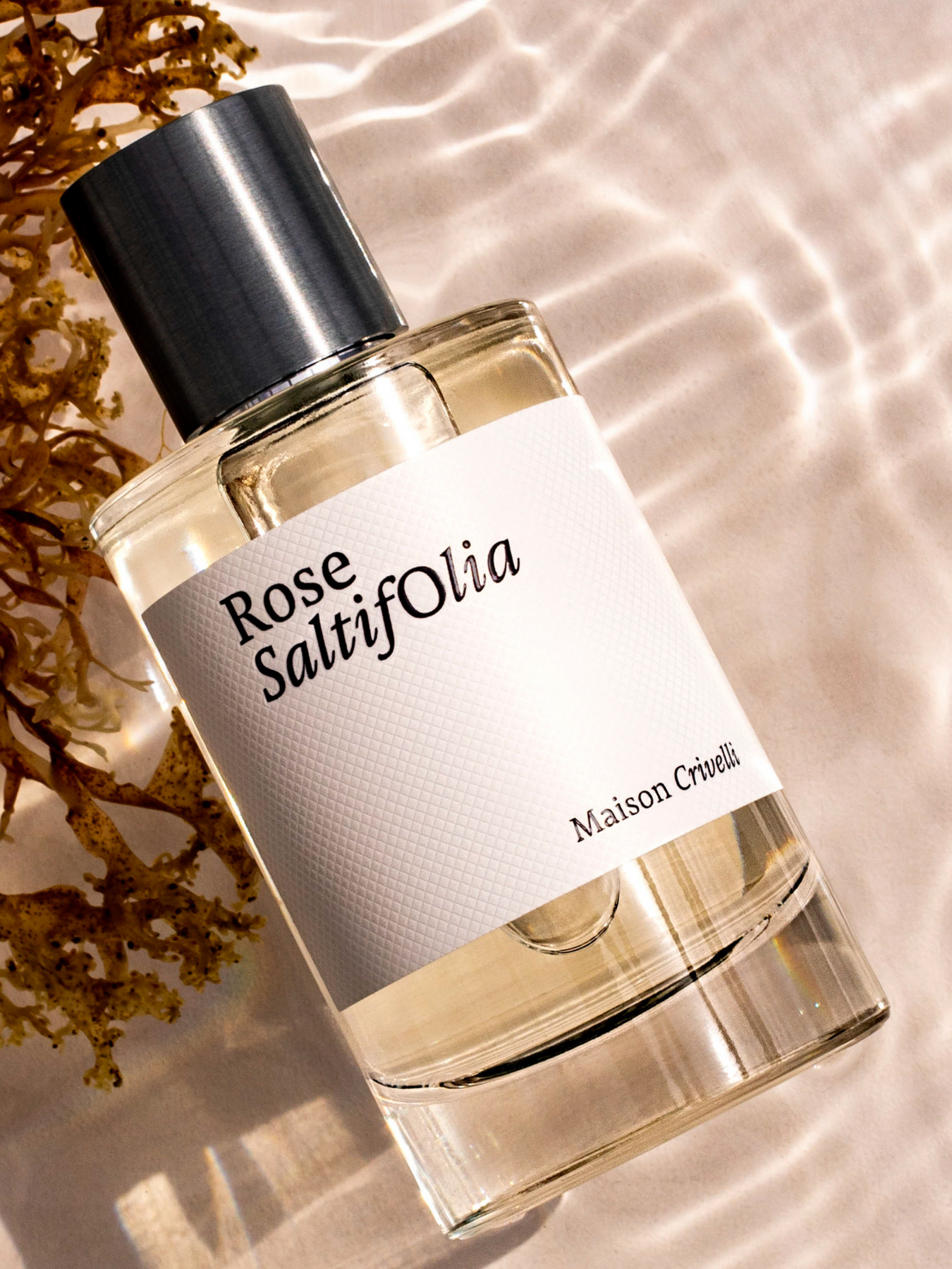 MAISON CRIVELLI, ROSE SALTIFOLIA EDP 100ML U