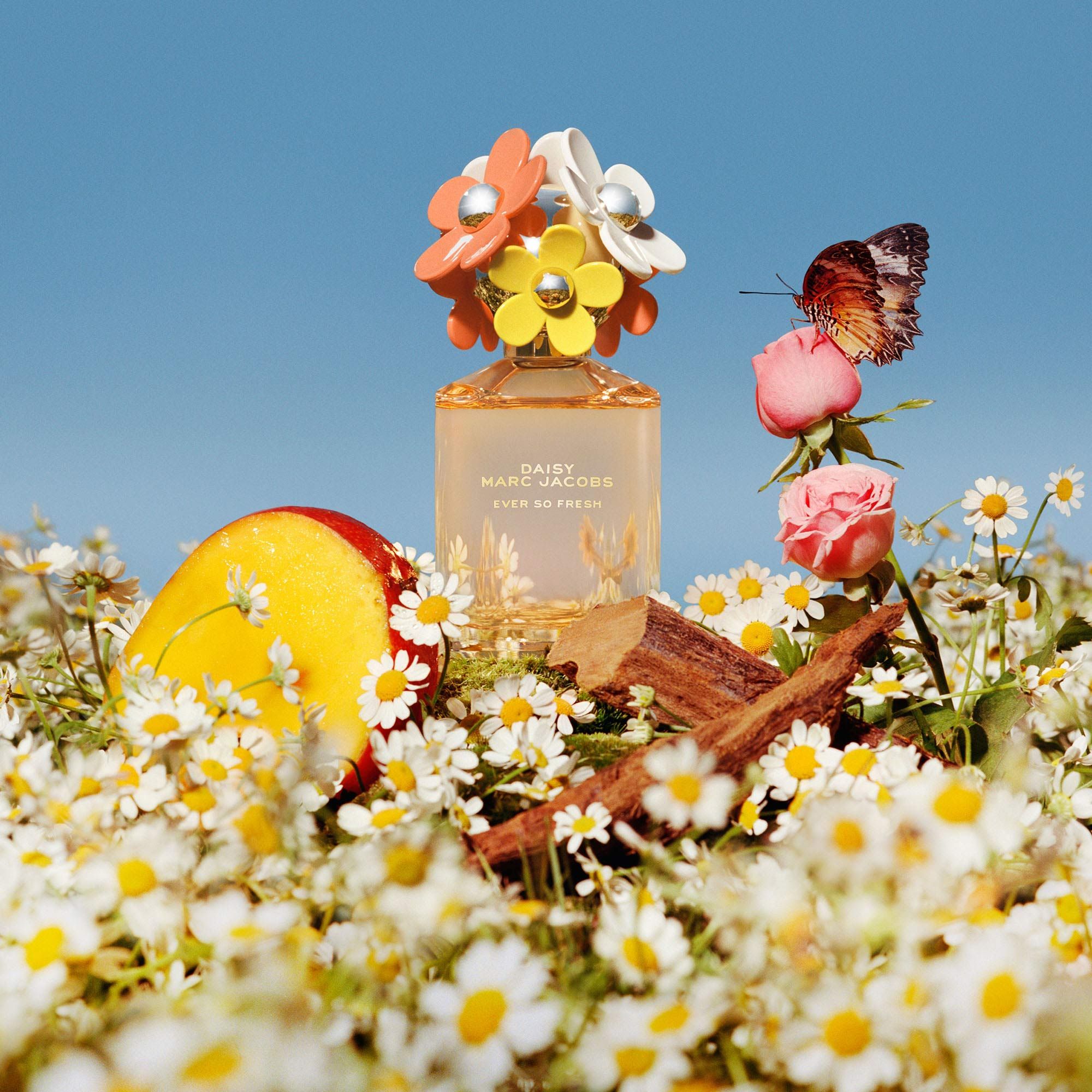 MARC JACOBS, DAISY EVER FRESH EDP 75ML W