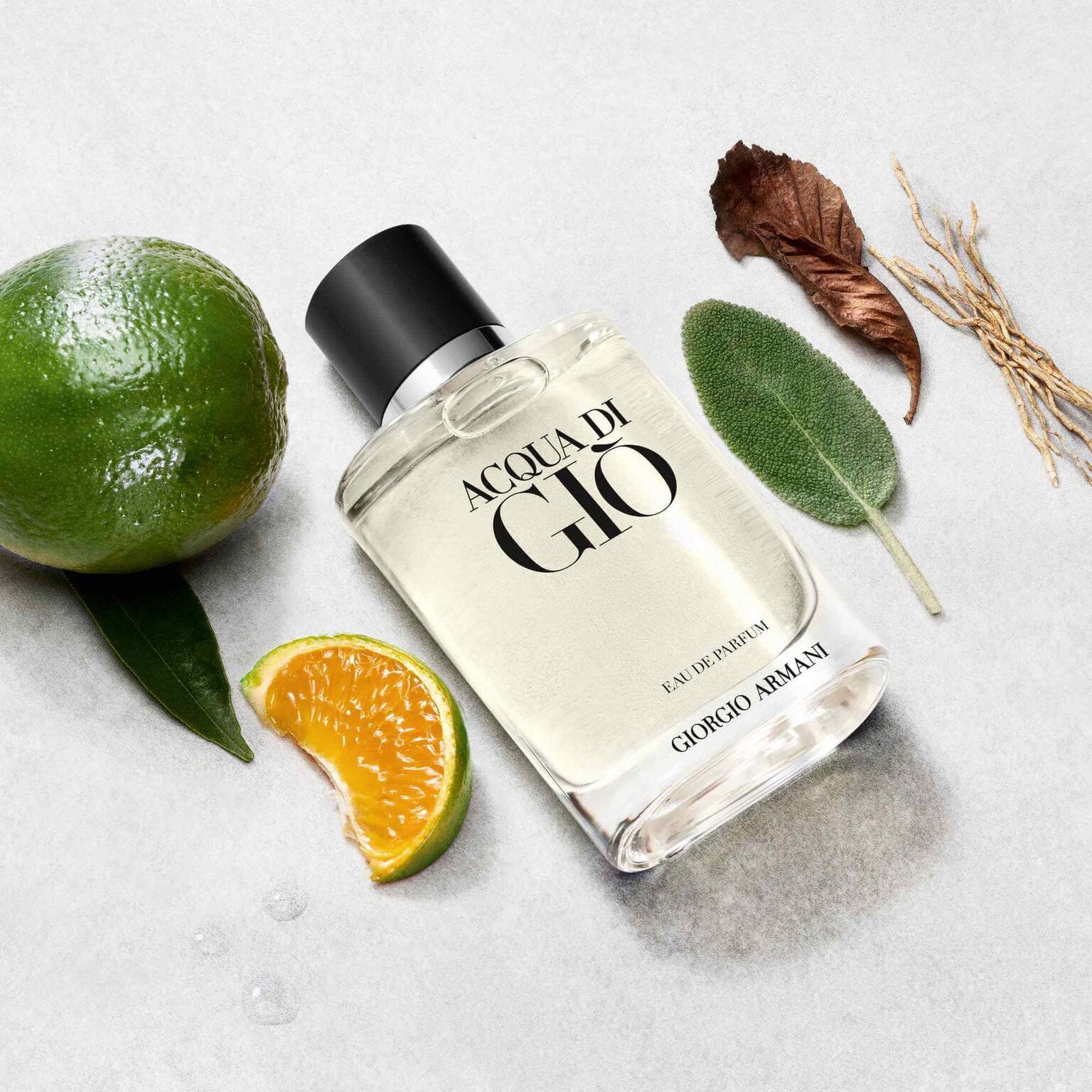 Giorgio Armani, Acqua Di Gio Edp 100Ml M