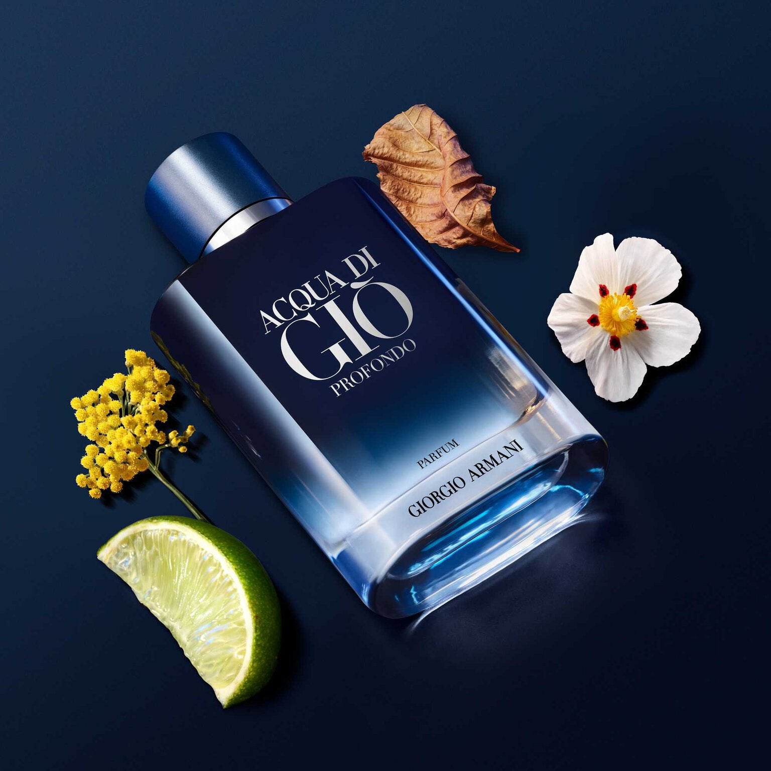 GIORGIO ARMANI, ACQUA DI GIO PROFONDO PARFUM 100ML M