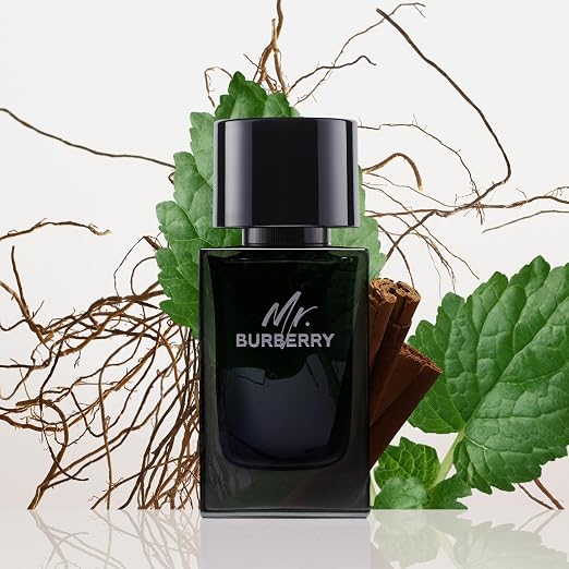 BURBERRY, MR BURBERRY EDP 150ML M