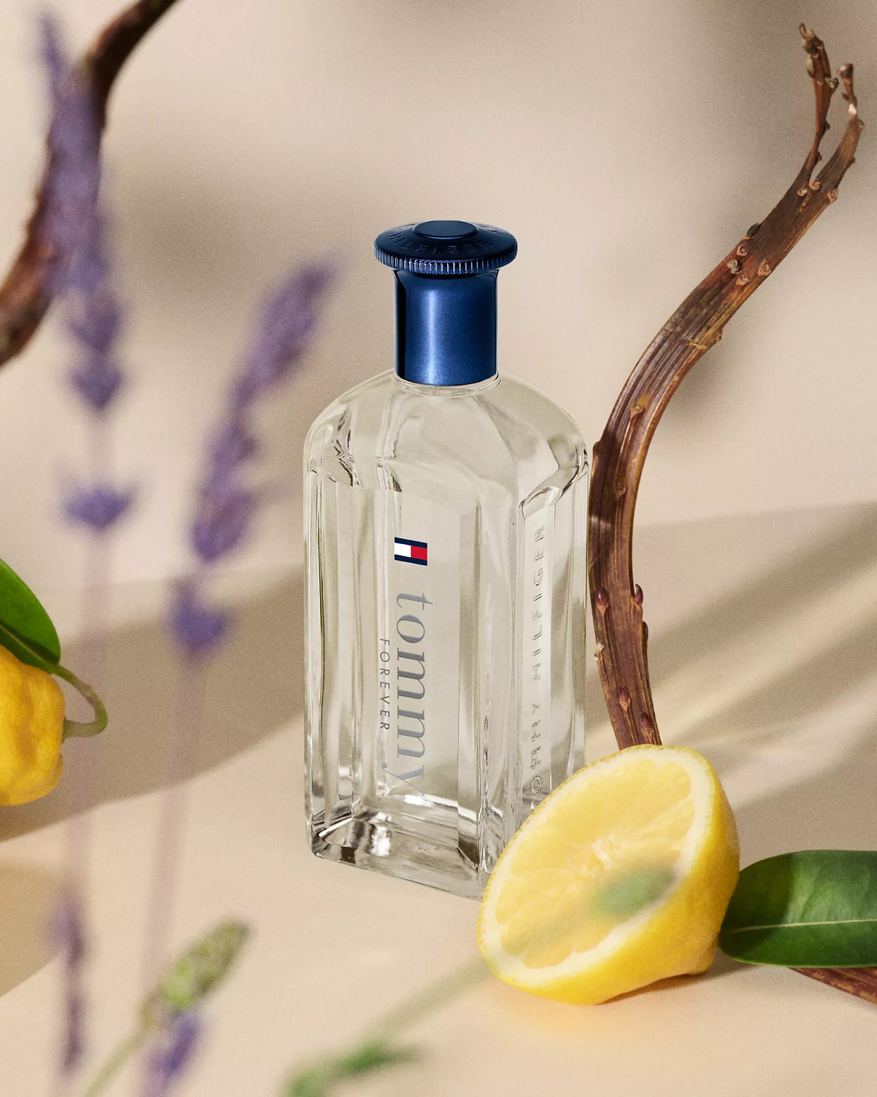 Tommy Hillfiger, Forever Men Edt 100Ml M
